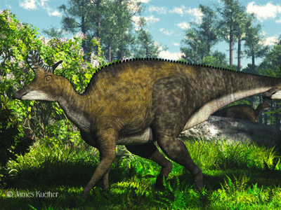 Lambeosaurus / © James Kuether. Verwendet mit freundlicher Genehmigung des Autors. Lambeosaurus / © James Kuether. Verwendet mit freundlicher Genehmigung des Autors.
