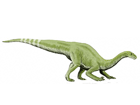 Lamplughsaura / © N. Tamura. Verwendet mit freundlicher Genehmigung des Autors. Lamplughsaura / © N. Tamura. Verwendet mit freundlicher Genehmigung des Autors.
