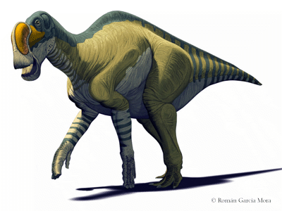 Latirhinus / © Román García Mora. Verwendet mit freundlicher Genehmigung des Autors.