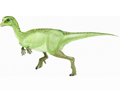 Leaellynasaura / © Mineo Shiraishi Leaellynasaura / © Mineo Shiraishi. Verwendet mit freundlicher Genehmigung des Autors.