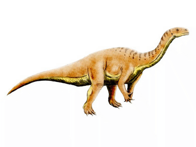 Leonerasaurus / © N. Tamura. Verwendet mit freundlicher Genehmigung des Autors.