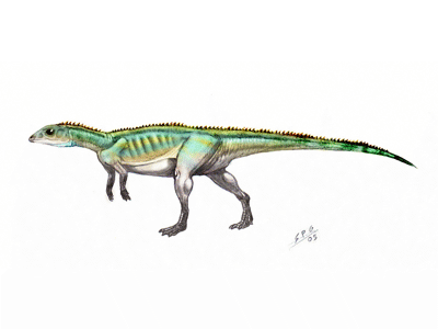 Lesothosaurus / © Sergio Perez. Verwendet mit freundlicher Genehmigung des Autors.