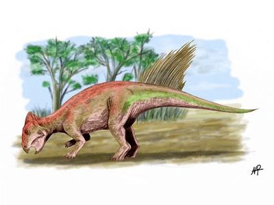Liaoceratops / © N. Tamura. Verwendet mit freundlicher Genehmigung des Autors.