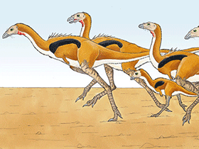 Limusaurus / © Maija Karala. Verwendet mit freundlicher Genehmigung des Autors. Limusaurus / © Maija Karala. Verwendet mit freundlicher Genehmigung des Autors.