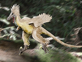 Linheraptor / © N. Tamura. Verwendet mit freundlicher Genehmigung des Autors. Linheraptor / © N. Tamura. Verwendet mit freundlicher Genehmigung des Autors.