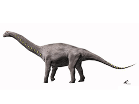Lirainosaurus / © N. Tamura Lirainosaurus / © N. Tamura. Verwendet mit freundlicher Genehmigung des Autors.