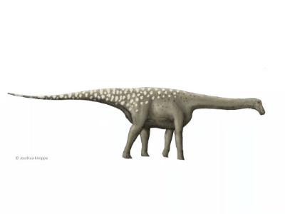 Lirainosaurus / © Joschua Knüppe Lirainosaurus / © Joschua Knüppe