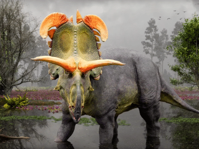 Lokiceratops / © PeerJ / Fabrizio Lavezzi, Youtube Sscreenshot Lokiceratops / © PeerJ / Fabrizio Lavezzi, Youtube Sscreenshot