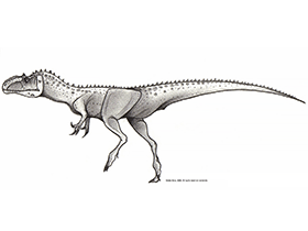 Lourinhanosaurus / © Joao Boto. Verwendet mit freundlicher Genehmigung des Autors. Lourinhanosaurus / © Joao Boto. Verwendet mit freundlicher Genehmigung des Autors.