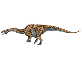 Massospondylus / © Gabriel Lio. Verwendet mit freundlicher Genehmigung des Autors. Massospondylus / © Gabriel Lio. Verwendet mit freundlicher Genehmigung des Autors.