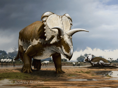 Medusaceratops / © Andrey Atuchin. Verwendet mit freundlicher Genehmigung des Autors.