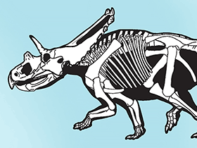 Mojoceratops / Sampson et al. Creative Commons 4.0 International (CC BY 4.0) Mojoceratops / Sampson et al. Creative Commons 4.0 International (CC BY 4.0)