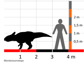 Größenvergleich © Dinodata.de. Creative Commons 4.0 International (CC BY 4.0)