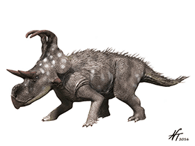 Machairoceratops / © N. Tamura. Verwendet mit freundlicher Genehmigung des Autors Machairoceratops / © N. Tamura. Verwendet mit freundlicher Genehmigung des Autors