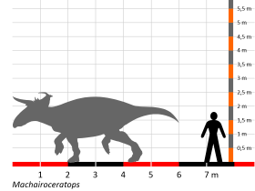 Größenvergleich / Dinodata.de. Creative Commons 4.0 International (CC BY 4.0)