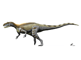 Magnosaurus / © N. Tamura Magnosaurus / © N. Tamura. Verwendet mit freundlicher Genehmigung des Autors.