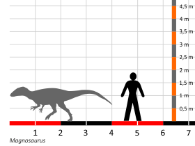 Größenvergleich © Dinodata.de. Creative Commons 4.0 International (CC BY 4.0) Größenvergleich © Dinodata.de. Creative Commons 4.0 International (CC BY 4.0)