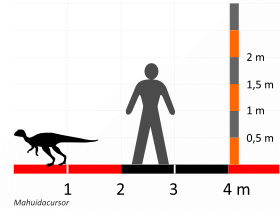 Größenvergleich © Dinodata.de. Creative Commons 4.0 International (CC BY 4.0) Größenvergleich / Dinodata.de. Creative Commons 4.0 International (CC BY 4.0)