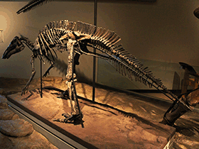 Maiasaurus / Peter Eimon. Creative Commons NonCommercial-ShareAlike 2.0 Generic (CC BY-NC-SA 2.0)