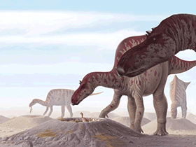Maiasaurus / © Jan-Ake Winqvist. Verwendet mit freundlicher Genehmigung des Autors.