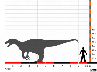 Größenvergleich / Dinodata.de. Creative Commons 4.0 International (CC BY 4.0)