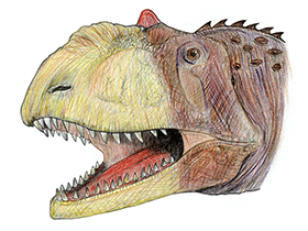 Majungasaurus / © Martin F. Chavez Majungasaurus / © Martin F. Chavez. Verwendet mit freundlicher Genehmigung des Autors.