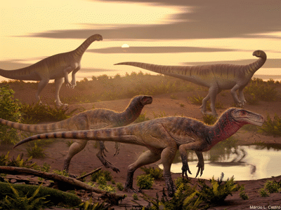Maleriraptor / © Márcio L. Castro Maleriraptor& Jaklapallisaurus / © Márcio L. Castro