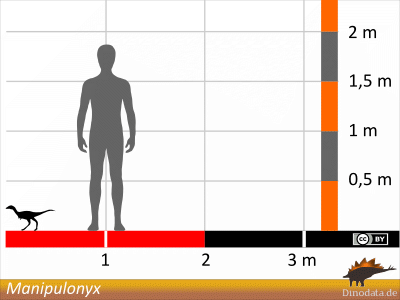 Größenvergleich / © Dinodata.de