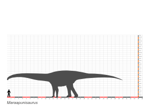 Größenvergleich / Dinodata.de. Creative Commons 4.0 International (CC BY 4.0)