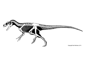 Marshosaurus / © Scott Hartman. Verwendet mit freundlicher Genehmigung des Autors. Marshosaurus / © Scott Hartman. Verwendet mit freundlicher Genehmigung des Autors.