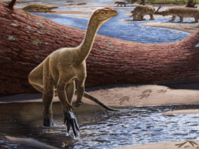 Mbiresaurus / © Andrey Atuchin Mbiresaurus / © Andrey Atuchin