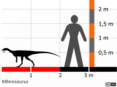 Größenvergleich / Dinodata.de. Creative Commons 4.0 International (CC BY 4.0)