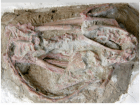 Fossil des Mei / Gao et al. Creative Commons 4.0 International (CC BY 4.0) Fossil des Mei / Gao et al. Creative Commons 4.0 International (CC BY 4.0)