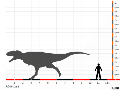 Größenvergleich / Dinodata.de. Creative Commons 4.0 International (CC BY 4.0) Größenvergleich / Dinodata.de. Creative Commons 4.0 International (CC BY 4.0)