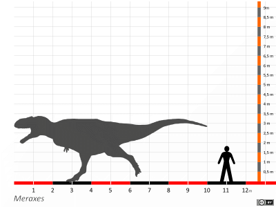 Größenvergleich / Dinodata.de. Creative Commons 4.0 International (CC BY 4.0)