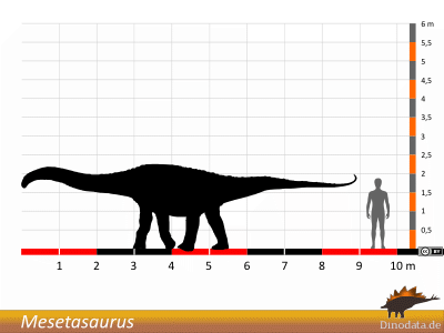Größenvergleich / © Dinodata.de