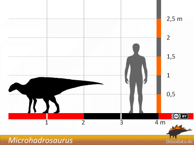 Größenvergleich / © Dinodata.de Größenvergleich / © Dinodata.de