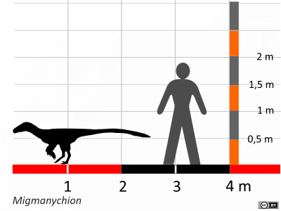 Größenvergleich / Dinodata.de. Creative Commons 4.0 International (CC BY 4.0) Größenvergleich / Dinodata.de. Creative Commons 4.0 International (CC BY 4.0)