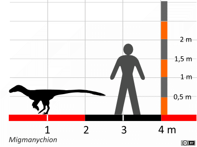 Größenvergleich / Dinodata.de. Creative Commons 4.0 International (CC BY 4.0)