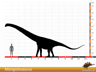 Größenvergleich / © Dinodata.de. Creative Commons 4.0 International (CC BY 4.0)