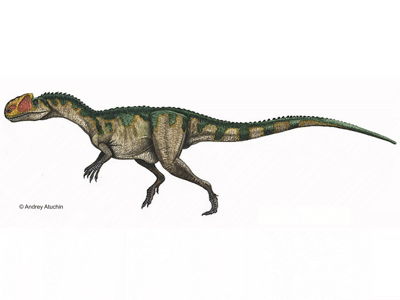 Monolophosaurus / © Andrey Atuchin. Verwendet mit freundlicher Genehmigung des Autors.