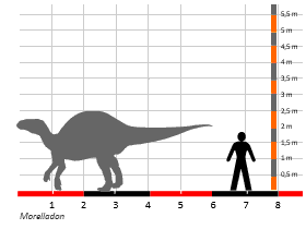 Größenvergleich / Dinodata.de. Creative Commons 4.0 International (CC BY 4.0)