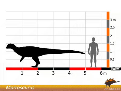 Größenvergleich / © Dinodata.de. Creative Commons 4.0 International (CC BY 4.0)