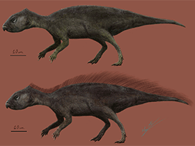 Mosaiceratops
/ © Eloy Manzanero. Verwendet mit freundlicher Genehmigung des Autors Mosaiceratops
/ © Eloy Manzanero. Verwendet mit freundlicher Genehmigung des Autors