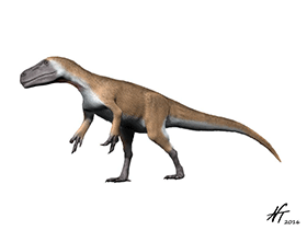 Murusraptor / © N. Tamura. Verwendet mit freundlicher Genehmigung des Autors