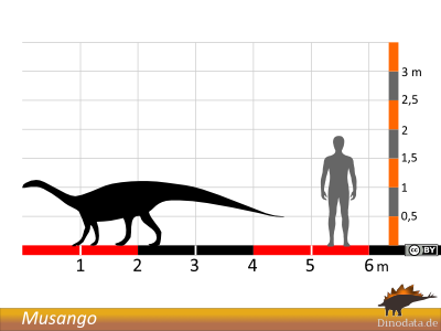 Größenvergleich / © Dinodata.de
