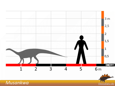 Größenvergleich / Dinodata.de. Creative Commons 4.0 International (CC BY 4.0) Größenvergleich / Dinodata.de. Creative Commons 4.0 International (CC BY 4.0)