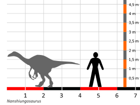 Größenvergleich © Dinodata.de. Creative Commons 4.0 International (CC BY 4.0)