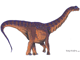 Neuquensaurus / © Tuomas Koivurinne. Verwendet mit freundlicher Genehmigung des Autors Neuquensaurus / © Tuomas Koivurinne. Verwendet mit freundlicher Genehmigung des Autors