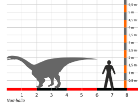 Größenvergleich © Dinodata.de. Creative Commons 4.0 International (CC BY 4.0) Größenvergleich / Dinodata.de. Creative Commons 4.0 International (CC BY 4.0)